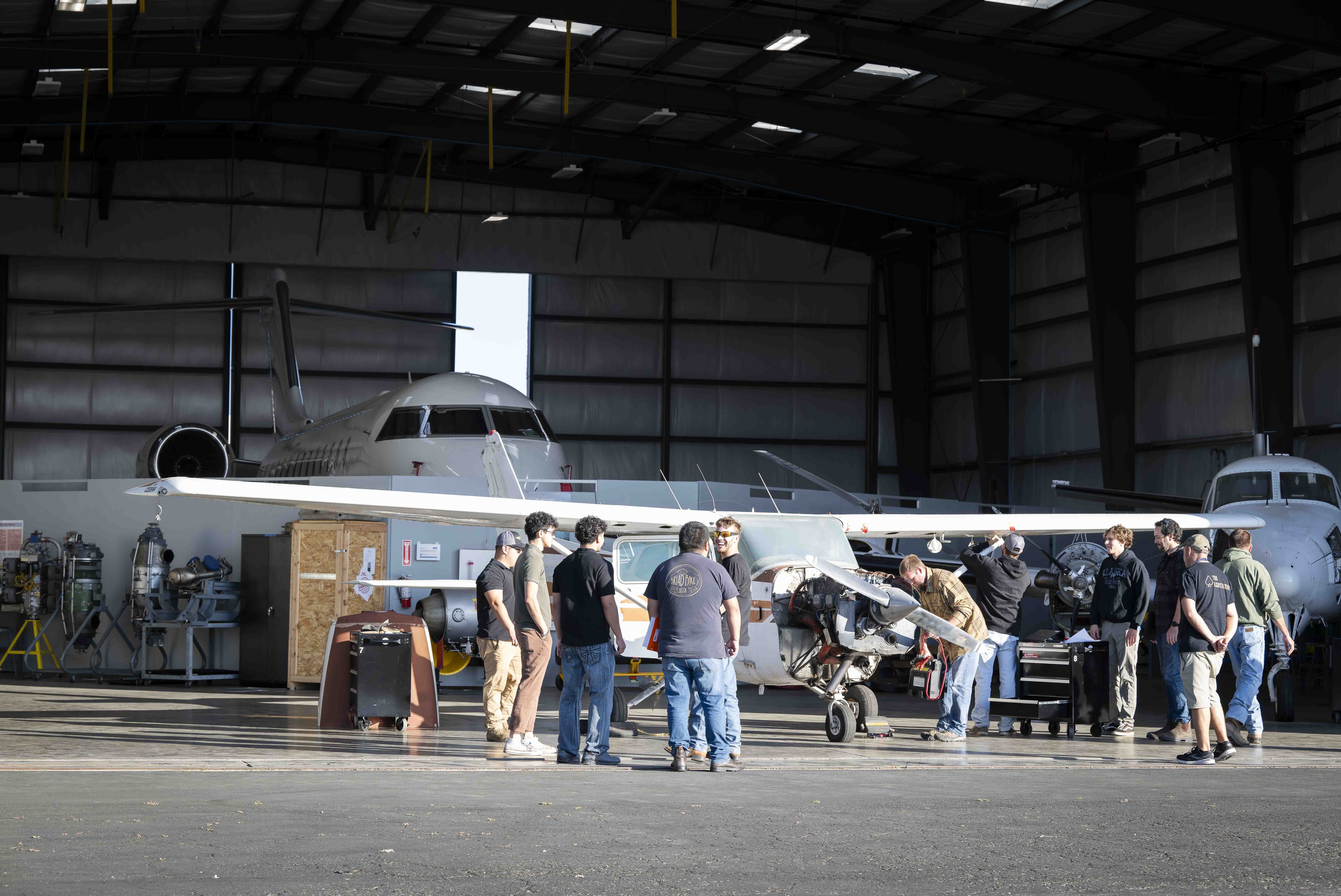 AVMT program