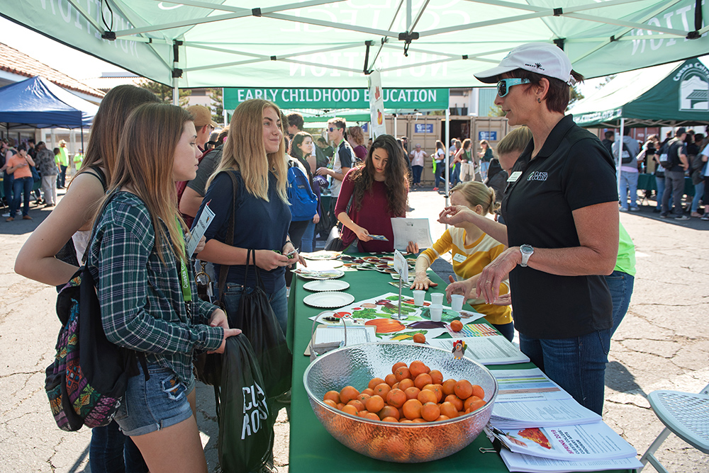 Cuesta Promise stall