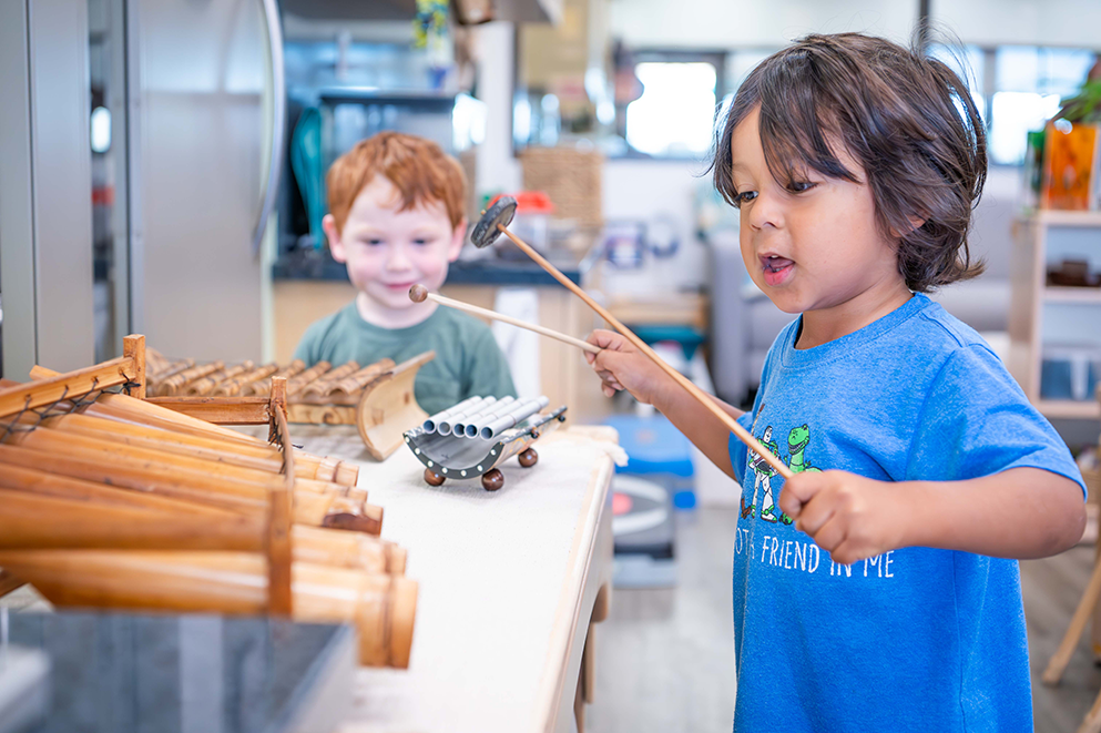 Two children playing with toys