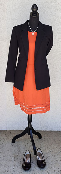 Career Closet outfit 